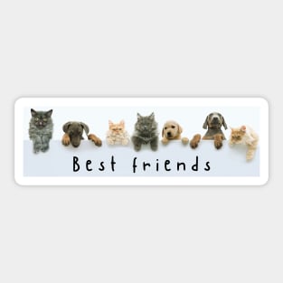 cats and dogs Sticker